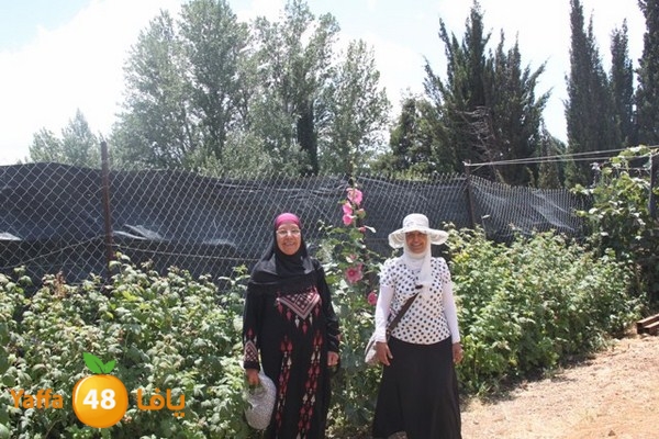 bayareq re7la shamal 0612 (51).JPG